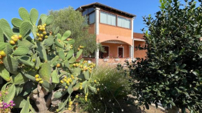 Sardegna - Villa Mirto & Flowers